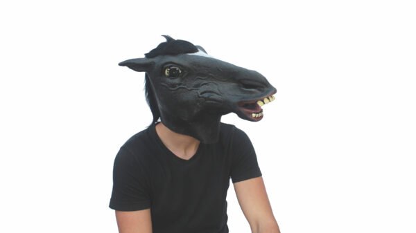 26484 7 Black Horse