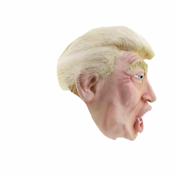 Trump with Hair