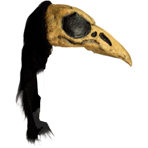 Crow Bird Helmet