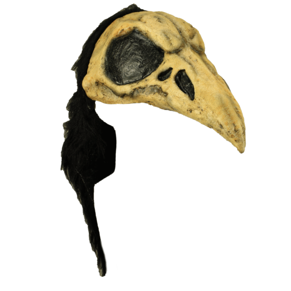 Crow Bird Helmet
