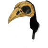 Crow Bird Helmet