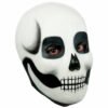 26756 6 Makeup Skull