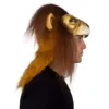Lion Helmet