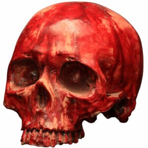 Bloody Resin Skull