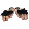 Chimp Feet