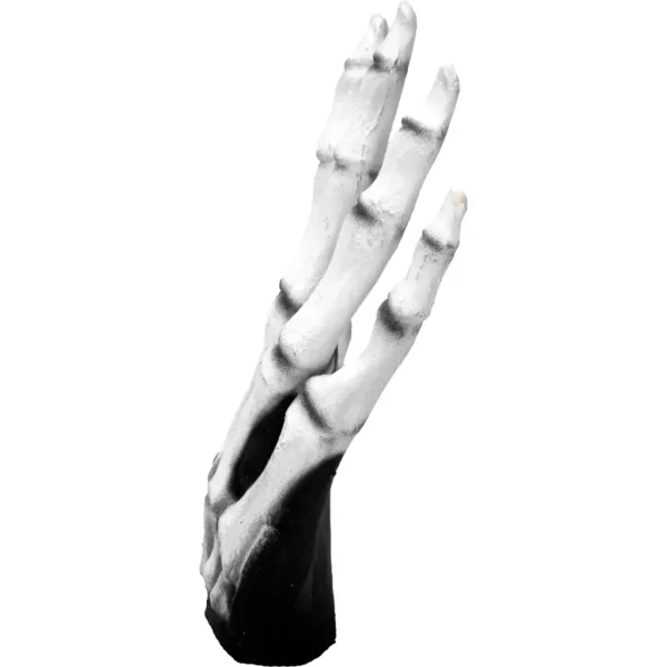 27067 2 Large Skeleton Hands (White)