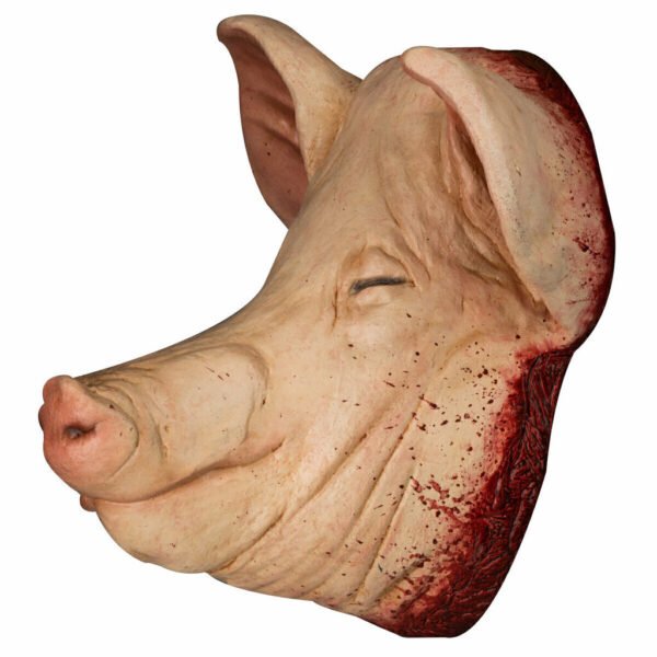 27719 3 Pig Head