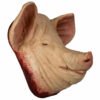 27719 4 Pig Head