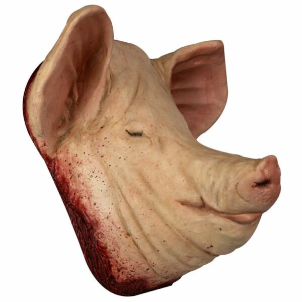 27719 4 Pig Head