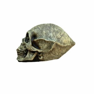 Alien Skull