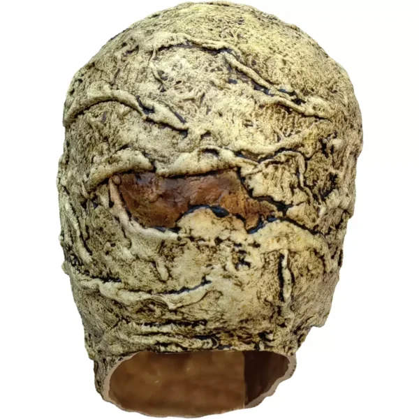 Mummy Skull