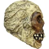 Mummy Skull
