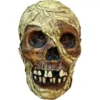 Mummy Skull