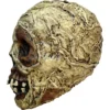 Mummy Skull