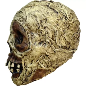 Mummy Skull