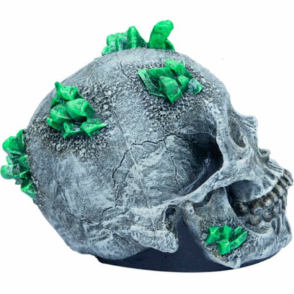 27783 1 Kryptonite Skull