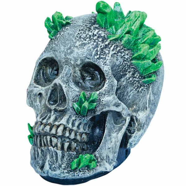 27783 3 Kryptonite Skull