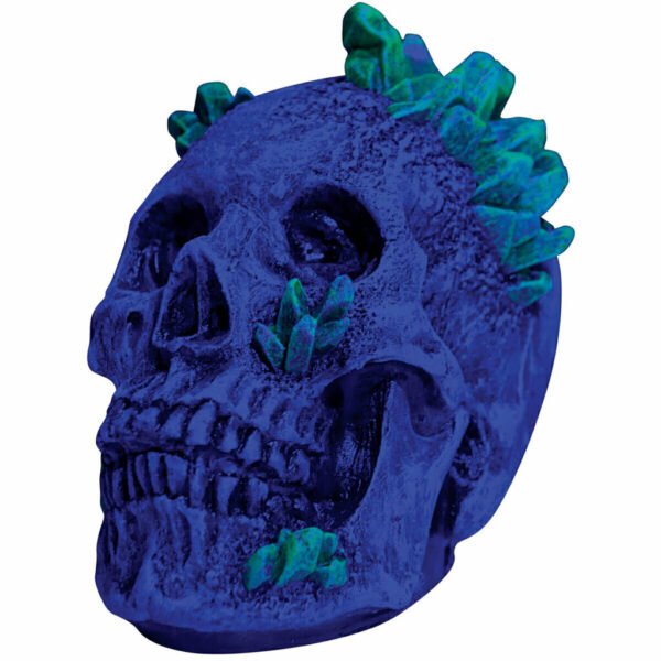 27783 4 Kryptonite Skull