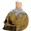 Waxed skull