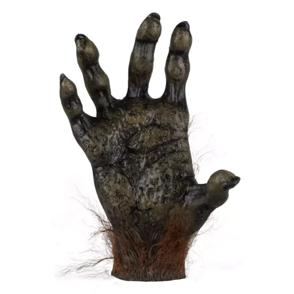 27798 1 Magic monkey hand