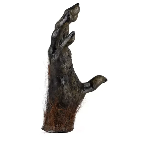 27798 3 Magic monkey hand