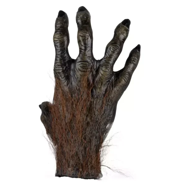 27798 4 Magic monkey hand