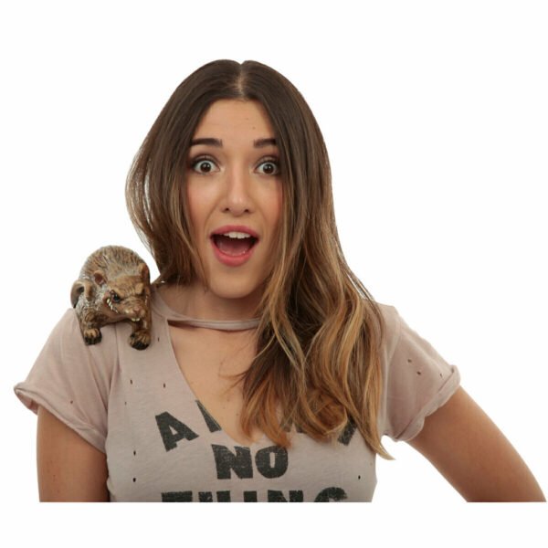 Shoulder Buddy: Brown Rat