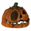 Rotten Pumpkin 2