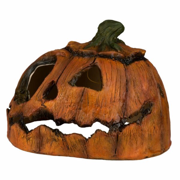 Rotten Pumpkin 2