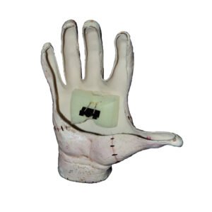 27892 9 Shoulder buddy: Crawling Hand