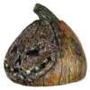 Rotten pumkin 4