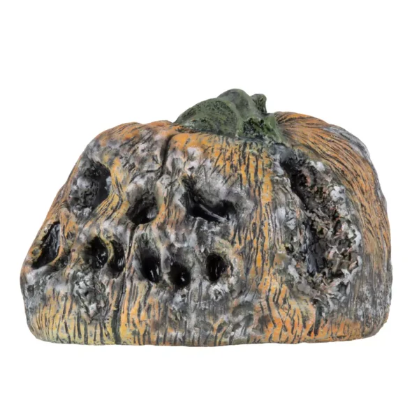 Rotten pumkin 6