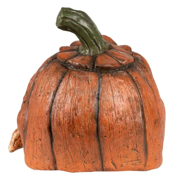 Carnivorous pumpkin