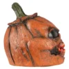 Carnivorous pumpkin