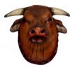 Possessed bull