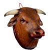 Possessed bull