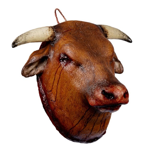 Possessed bull