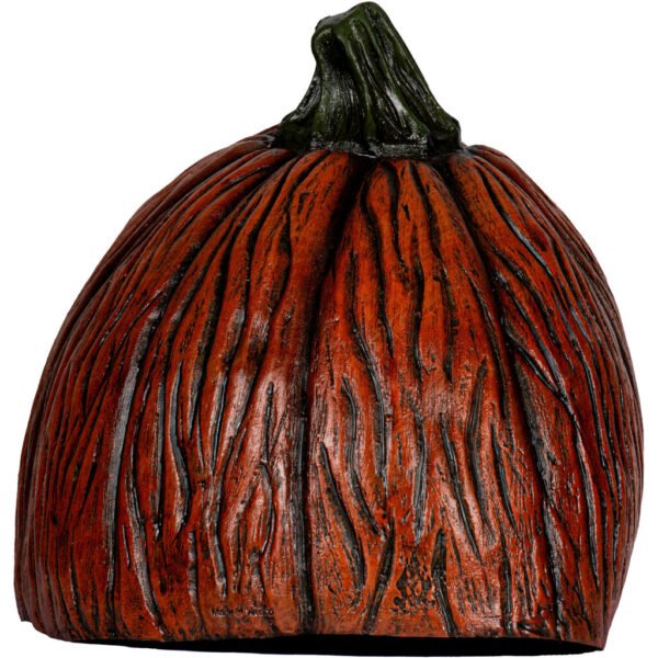 Carnivorous pumpkin 2