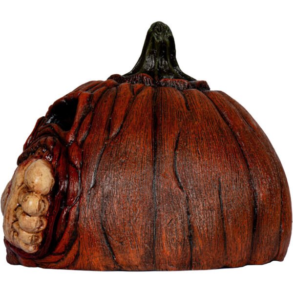 Carnivorous pumpkin 3