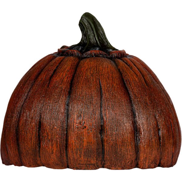 Carnivorous pumpkin 3