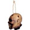 Decapitated Undead