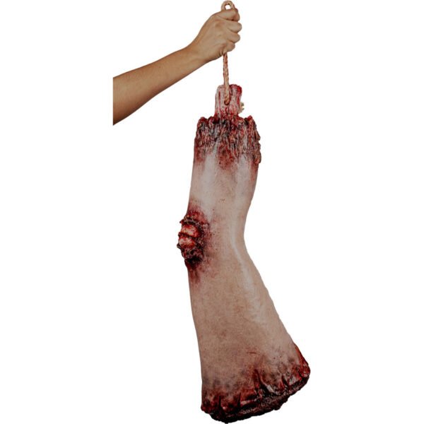 27950 5 Mutilated Thigh