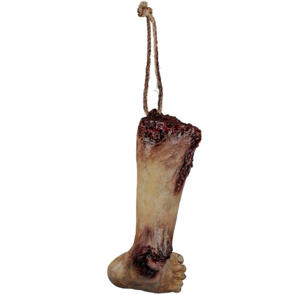 27951 3 Mutilated Shin