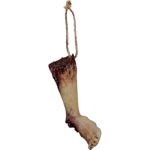 27951 4 Mutilated Shin