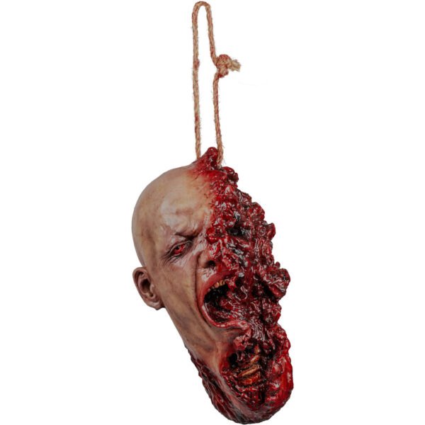 27952 1 Shotgun Blast