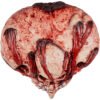 Horror Heart