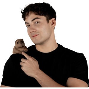 Shoulder Buddy Capibara