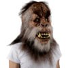 Sasquatch