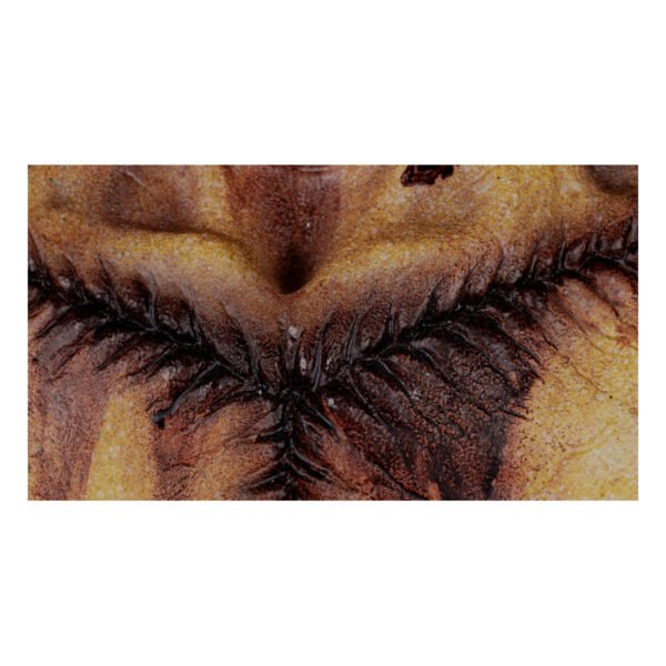 30070 8 Máscara Autopsy - Látex Profesional Nightmare Makers