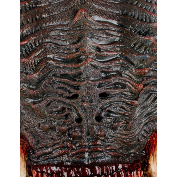 30096 9 Máscara Wrath de Látex Artesanal para Halloween y Cosplay